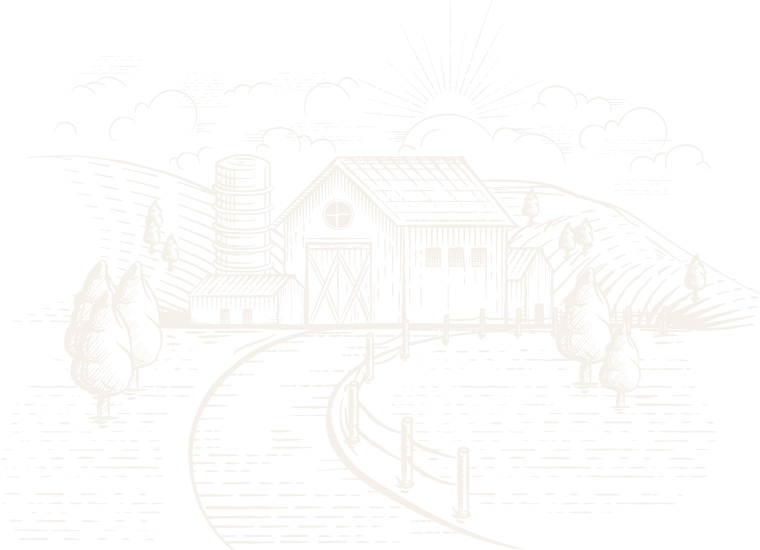 BEMSA TARIM - JİPS | ORGANOMİNERAL GÜBRE